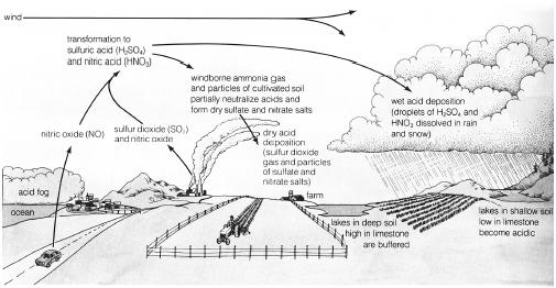 The basic mechanisms of acid deposition. (Illustration by Wadsworth Inc. Reproduced by permission.)