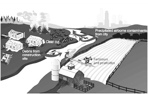 Nonpoint sources of water pollution. (Illustration by Hans & Cassidy.)