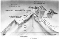A rain shadow in Hawaii on the eastern side of Mount Waialeale. (McGraw-Hill Inc. Reproduced by permission.)