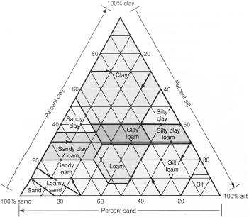 Soil texture depends on the relative proportions of sand, silt and clay in a soil, as represented in this diagram. (McGraw-Hill Inc. Reproduced by permission.)