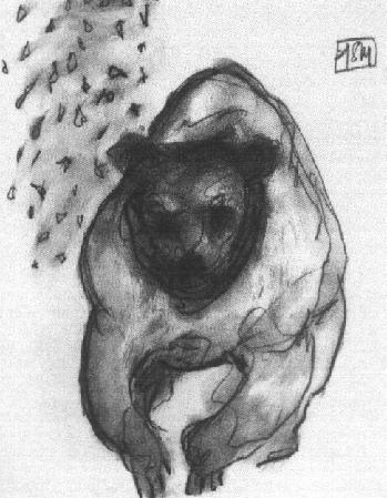Momaday's 1987 Self Portrait with Leaves. The bear is considered a personality type in many Native American cultures.